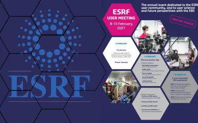 Alibava Systems at ESRF User Meeting 2021